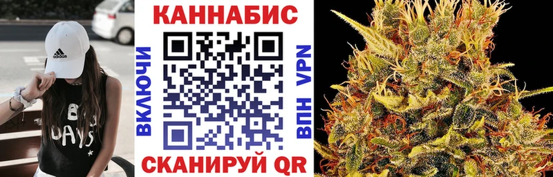 Бошки марихуана OG Kush  Дербент 